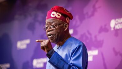 Tinubu Palliative Registration Portal