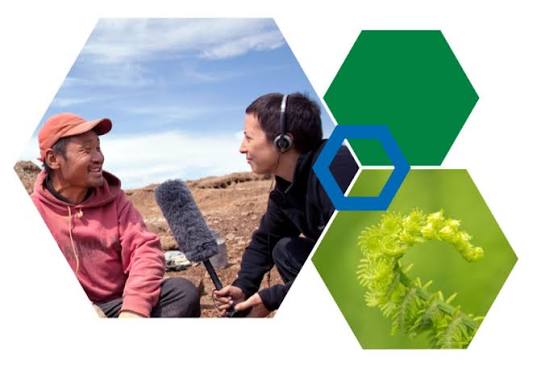 MacArthur Foundation Grants Database