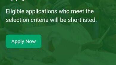 Nano Presidential Grant Scheme Application Form