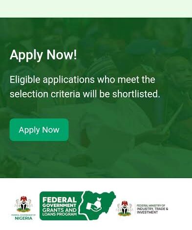 Nano Presidential Grant Scheme Application Form