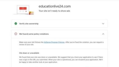 Adsense Program Policy Issues