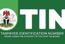 Code to Check TIN Number Online Using Your Phone