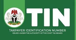 Code to Check TIN Number Online Using Your Phone