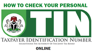 Code to Check TIN Number Online Using Your Phone